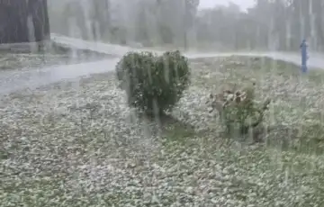 Hrvatska nevrijeme led