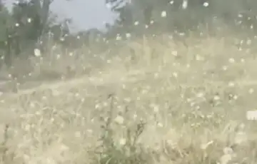 Led prijepolje