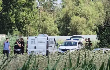 Novi sad tijela auto