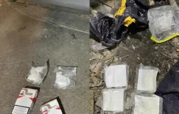 Droga travnik