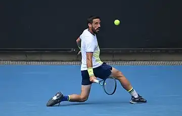 Damir Dzumhur