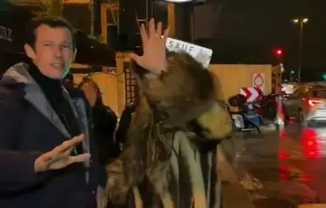 Dua Lipa Callum Turner