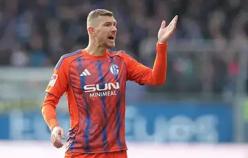 Edin Dzeko 02