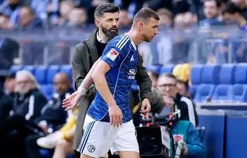 Edin Dzeko Schalke 04 Miron Muslic