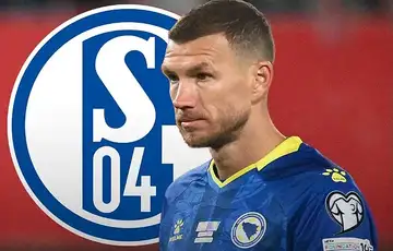 Edin Dzeko Schalke 04