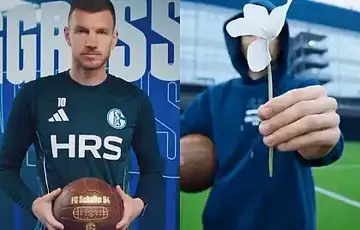 Edin Dzeko Schalke 04