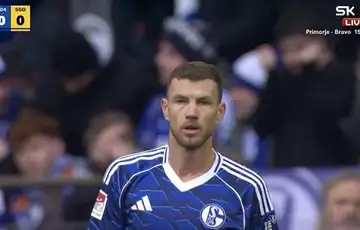 Edin Dzeko Schalke 04