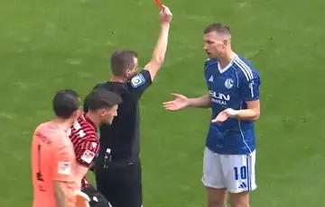 Edin Dzeko Schalke 04