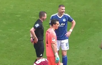 Edin Dzeko Schalke 04