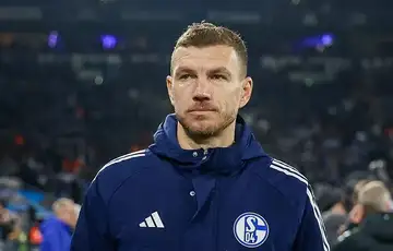 Edin Dzeko Schalke 04
