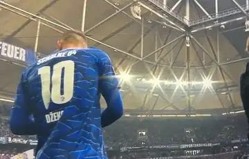 Edin Dzeko Schalke 04