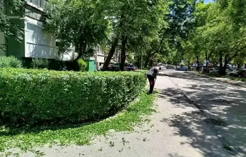 Novo sarajevo zelene povrsine ciscenje