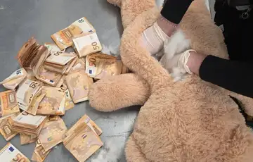 Plišani medvjed novac