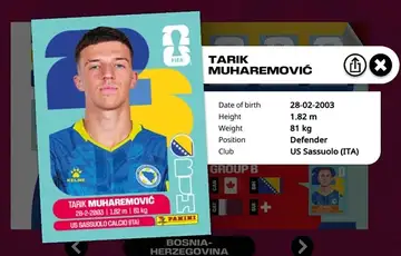 Tarik Muharemovic Panini