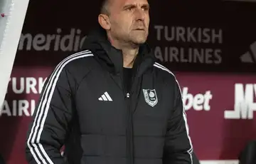 Mario Cvitanovic