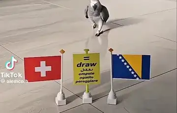 Papagaj birao pobjednika utakmice Bi H Svicarska