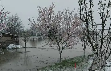 Prijedor poplave 03 2026