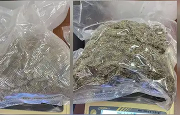 Prijedor Pronadena i oduzeta marihuana