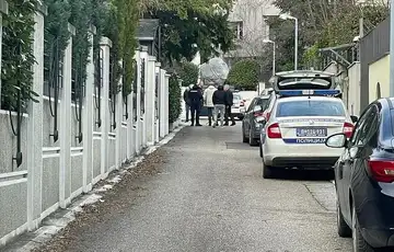 Zdravko Colic Bačena bomba na kuću  Foto: Telegraf.rs