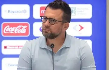 Zvjezdan Misimovic