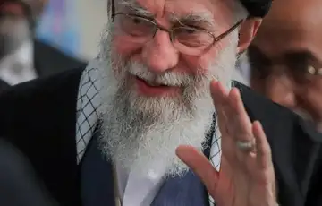 Ali hamnei