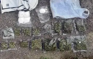 Doboj plantaza