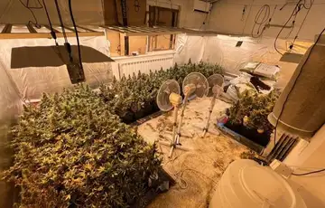 Droga sarajevo marihuana