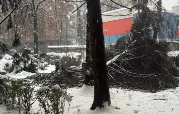 Grbavica kolajpg 1200