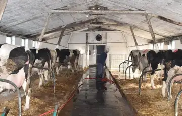Ktavre farma