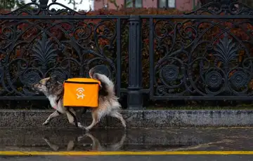 Rusija Wi-Fi psi inernet