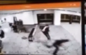 Sad pucnjava bijela kuca