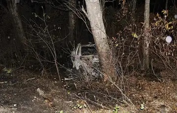 Saobracajna nesreca pozar Tesla Tesla Model Y