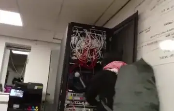 Svedska propalestinski