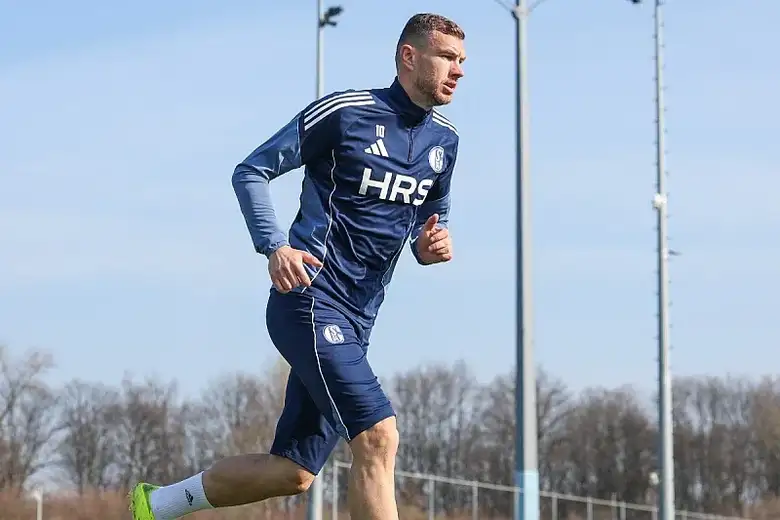 Edin Dzeko Opravlja se Schalke 04