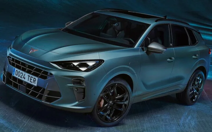 Cupra Terramar 411