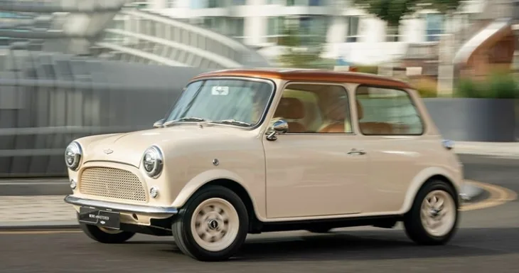 Mini Moris