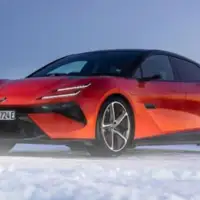 lotus