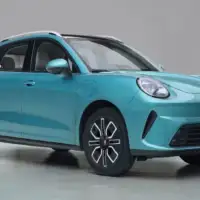 GWM Ora Cat