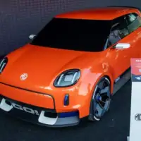Mg