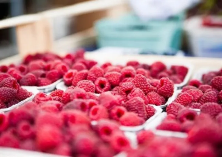 Maline 400 400 p C 90 Pixabay