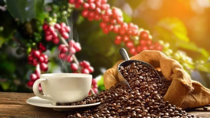 Kafa zrno 768x432