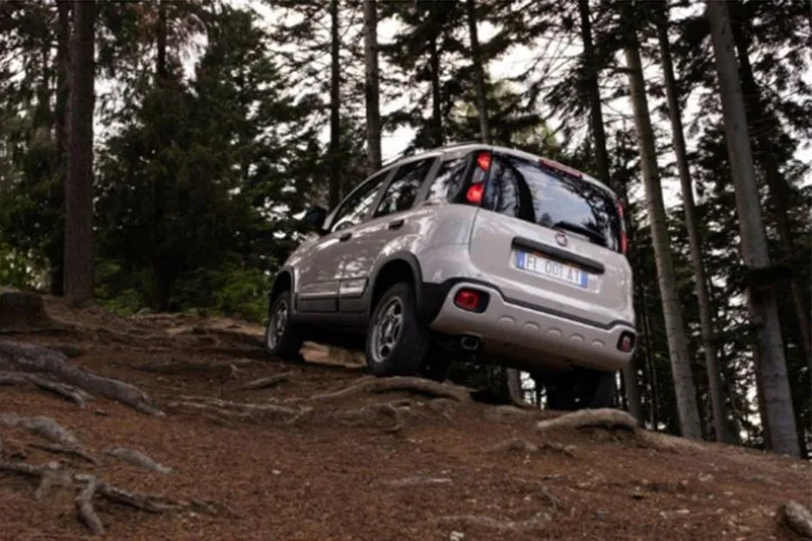 Fiat panda 1