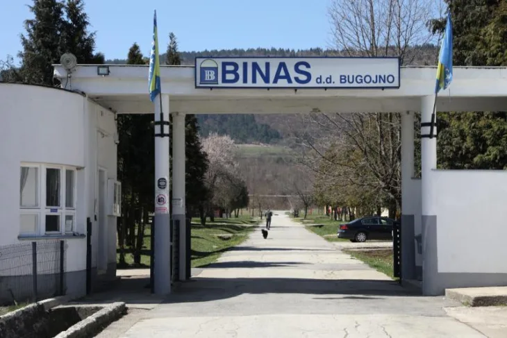 Binas