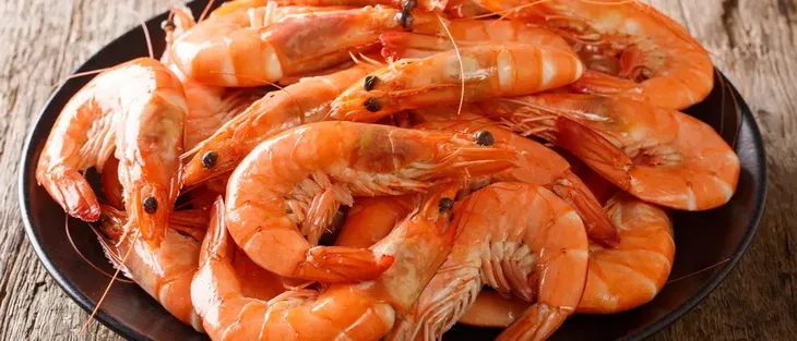 Škampi