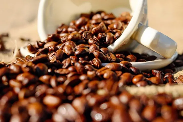 Kafa