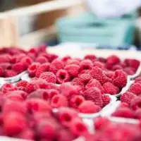 Maline 400 400 p C 90 Pixabay