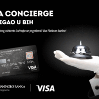Visa Concierge