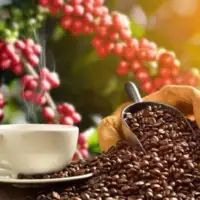 Kafa zrno 768x432