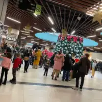 Bingo Velike guzve u sarajevskim trznim centrima pred prvu neradnu nedjelju