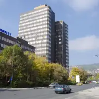 Vlada fbih